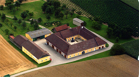 FuÌˆr moderne Landwirtschaft ist der Vierkanthof zu klein, deshalb werden zusätzliche Stallungen, Maschinenhallen, Hackschnitzellager, etc. in unmittelbarer Nähe zum geschlossenen Vierkanthof errichtet. „Höllerhof im Teufelsgraben“ in Kronstorf